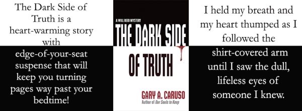 Blog Tour banner 1 The Dark Side of Truth